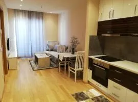 Lux Apartman Nataša Zlatibor