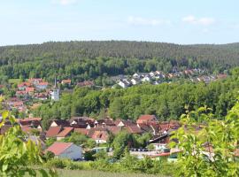 Gästehaus Hochrhönblick, בית הארחה בSchönau an der Brend