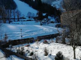 Ferienwohnung ELSA, hotell i Immenstadt im Allgäu