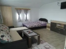 Apartmani "Babići"