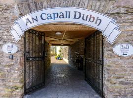 An Capall Dubh B&B Dingle, מקום אירוח B&B בדינגל