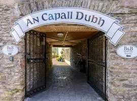 Dingle Centre Townhouse An Capall Dubh Dingle