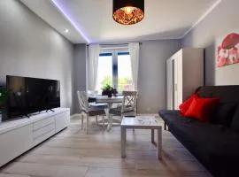 Apartament Grey