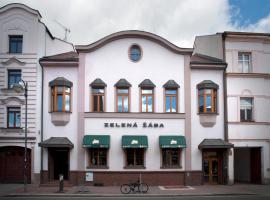 Penzion Zelená Žába, hotel di Pardubice