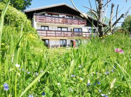 Ferienwohnung Tschengla mit eigener Sonnenterrasse - Wiese - Wlan - Netflix, hotelli kohteessa Bürserberg