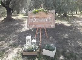 Agriturismo Fonteregia