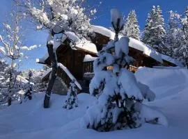 Meribel Altitude1600 accès direct aux pistes 6 personnes