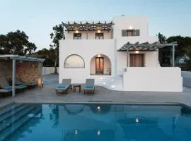 Naxos Infinity Villa and Suites