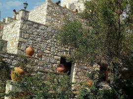 Charouda Stone Tower, hotel in Pirgos Dhirou