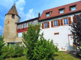 Les Gîtes de la tour, appartement "le Vignoble", hotel i Saint-Hippolyte