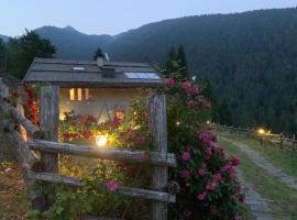 Chalet Delle Rose, holiday home in Santi di Daone