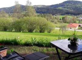 Appartement-Harlachberg-Blick-2