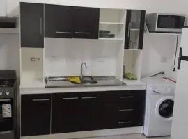 Departamento centrico y amplio, 6 personas, NQN.