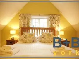 B+B York