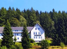 Greizer Kammhütte Pension, hotel di Klingenthal