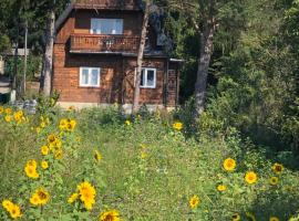 Vacationhome in the vineyards, hotel ve Vídni