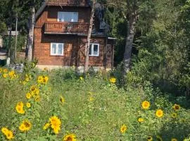 Vacationhome in the vineyards