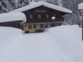 Haus Alpenheim, hotel u gradu Flahau