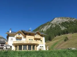 B&B Ecohotel Chalet des Alpes