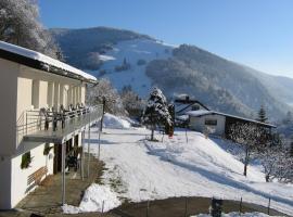 Steiert Panorama Apartments Todtnau, hótel í Todtnau