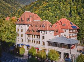 Hotel Rina Cerbul, hótel í Sinaia