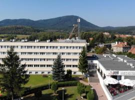 Hotel Biały, hotell i Wałbrzych