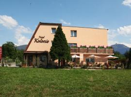 Hotel Kolonie, hotel con jacuzzi en Frýdlant nad Ostravicí