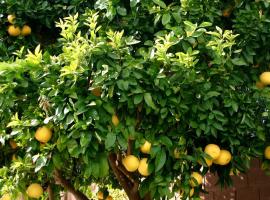 LEMON TREE, хотел в Трогир