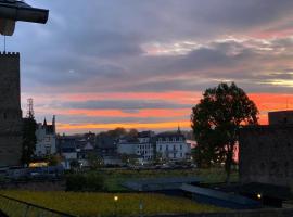 Ferienwohnung „Die 3 am Rhein“, íbúð í Rüdesheim am Rhein