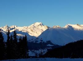 Bourg St Maurice les Arcs 1800 Les Lauzieres jolie vue, nature, espace, bien être, plaisir, paisible, khách sạn ở Arc 1800