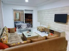 Luxury and Splendid 2 Bedrooms Apartment in Jardin De Carthage Tunis