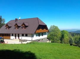 König-in, hotell i Hojsova Stráž