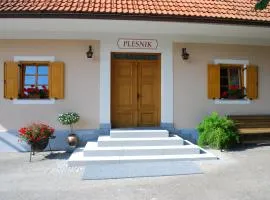 Farm Stay Rotovnik - Plesnik