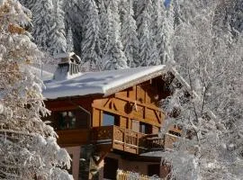 Les Saisies côté Bisanne appartement dans chalet LE Népal