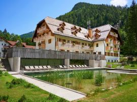 Hotel Plesnik Logarska Dolina, hotel mesra haiwan peliharaan di Solčava