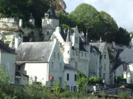 La Sterne de Loire Charming House