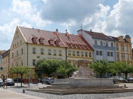 Hotel Česká Koruna, hotel em Děčín