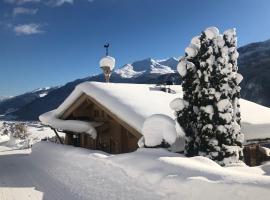 Chalet Sonnberg，位于维尔德科格尔山麓布兰贝格的酒店