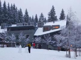 Harrachov Resident Apartments with Terrace, hotel en Harrachov