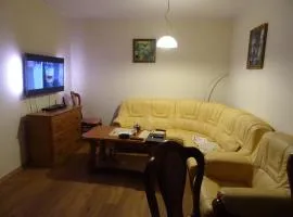 Apartament w centrum, garaż i jakuzzi w cenie