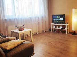 Birch view apartment, hotell Jelgavas