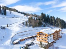 Skylodge Alpine Homes, готель у місті Гаус-ім-Енншталь