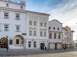 TGM Hotel Residence, hotelli kohteessa Znojmo