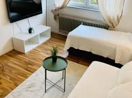 Top renoviertes Apartement in bester Lage von Homburg- 5 Fußminuten zur Uniklinik