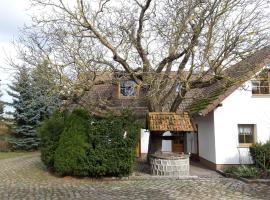 Ein Bett im Kornfeld - Haus Weitblick - mit Innenpool, maison de vacances à Schönfeld