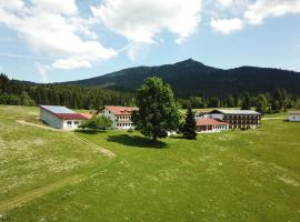 Osserhotel Garni, hotel in Lohberg