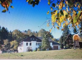 Pension Haus Fürstenberg, gæludýravænt hótel í Beierfeld