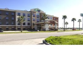 Holiday Inn Express Seguin, an IHG Hotel, hotel en Seguin