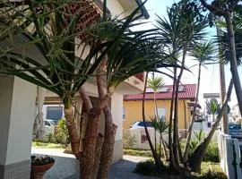 Florinda B&B Viareggio