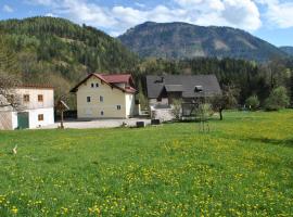 Ferienwohnung Leitner – hotel w mieście Lunz am See